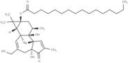 12-Deoxyphorbol 13-palmitate