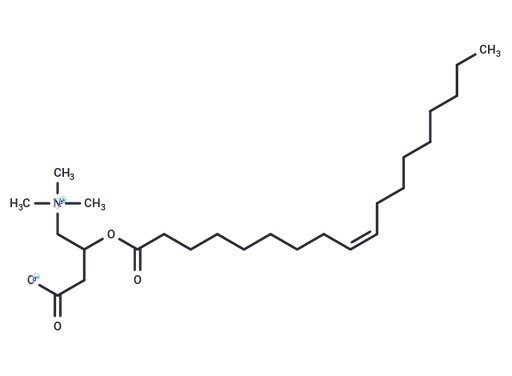 (Rac)-Oleoylcarnitine
