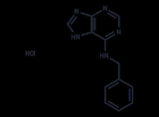 N-Benzyl-9H-purin-6-amine hydrochloride