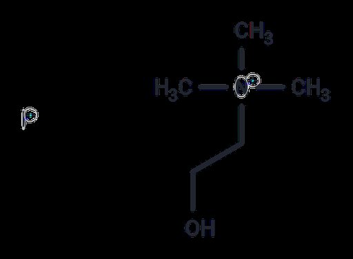 Choline Iodide