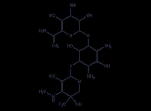 2-Hydroxygentamicin B1