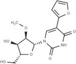 5-Furan-2-yl-2'-O-methyl uridine