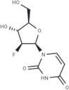 1-(2-Deoxy-2-fluoro-β-D-arabinofuranosyl)uracil