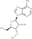 3’-O-Methyladenosine