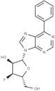 9-(3-Deoxy-3-fluoro-β-D-ribofuranosyl)-6-phenylpurine