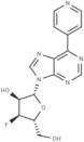 9-(3-Deoxy-3-fluoro-β-D-ribofuranosyl)-6-(pyridine-4-yl)purine