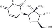 2’-C-Methyl uridine