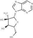 9-(2-C-methyl-β-D-ribofuranosyl)purine