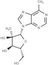 6-Methyl-9-(2-C-Methyl-β-D-ribofuranosyl) purine