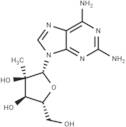 2-Amino-2′-C-methyladenosine