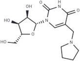 5-Pyrrolidinomethyluridine