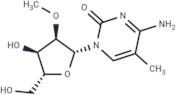 2'-O-Methyl-5-methylcytidine