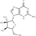 2'-C-β-Methylguanosine