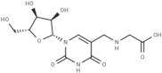 Uridine-5-methylamino acetic acid