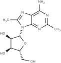 2,8-Dimethyladenosine