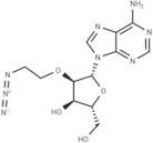 2'-O-(2-Azidoethyl)adenosine