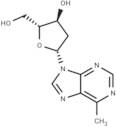 9-(2-Deoxy-β-D-erythropentofuranosyl)-6-methyl-9H-purine