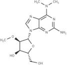 2-Amino-N6,N6-dimethyl-2’-O-methyladenosine