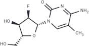 2’-Deoxy-2’-fluoro-5-methylcytidine