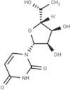 5’(R)-C-Methyluridine