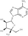 4’-Methyladenosine