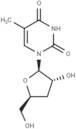 3’-Deoxy-5-methyluridine