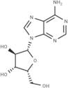 9-(β-D-Xylofuranosyl)adenine