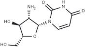 2’-Amino-2’-deoxy-b-D-arabinouridine