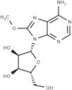 8-Methoxyadenosine