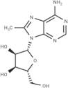 8-Methyladenosine