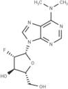 2’-Fluoro-2’-deoxy-N6,N6-dimethylarabinoadenosine