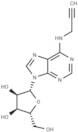 N6-(2-Propynyl)adenosine