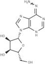 N6-Aminoadenosine