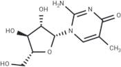 2-Amino-1-β-D-arabinofuranosyl-5-methyl-4(1H)-pyrimidinone