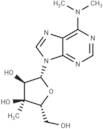 N6,N6-Dimethyl-3’-β-C-methyl- adenosine