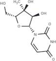 3’-β-C-Methyluridine