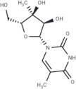 3’-β-C-Methyl-5-methyluridine