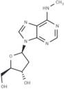 2’-Deoxy-N6-methyl adenosine