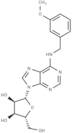 N6-(m-Methoxybenzyl)adenosine