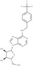 N6-(4-Trifluoromethylbenzyl)adenosine