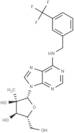 N6-(3-Trifluoromethylbenzyl)-2'-C-methyl adenosine