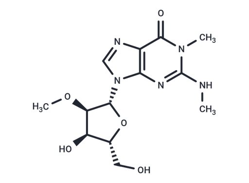 N1,N2-Dimethyl-2'-O-methyl guanosine