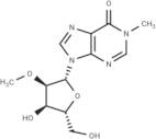 2’-O-Methyl-N1-methyl inosine