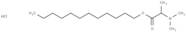 Dodecyl 2-(N,N-dimethylamino)propionate Hydrochloride