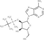 2’-O-t-Butyldimethylsilyl adenosine