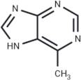 6-Methylpurine