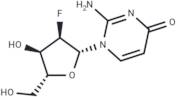 2’-Deoxy-2’-fluoroisocytidine