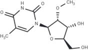 2'-O-Methyl-5-methyl uridine