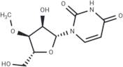 3'-O-Methyluridine