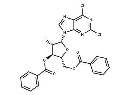 2,6-Dichloropurine -9-β-D-(2'-deoxy-3',5'-di-O-benzoyl-2'-fluoro)arabinoriboside
